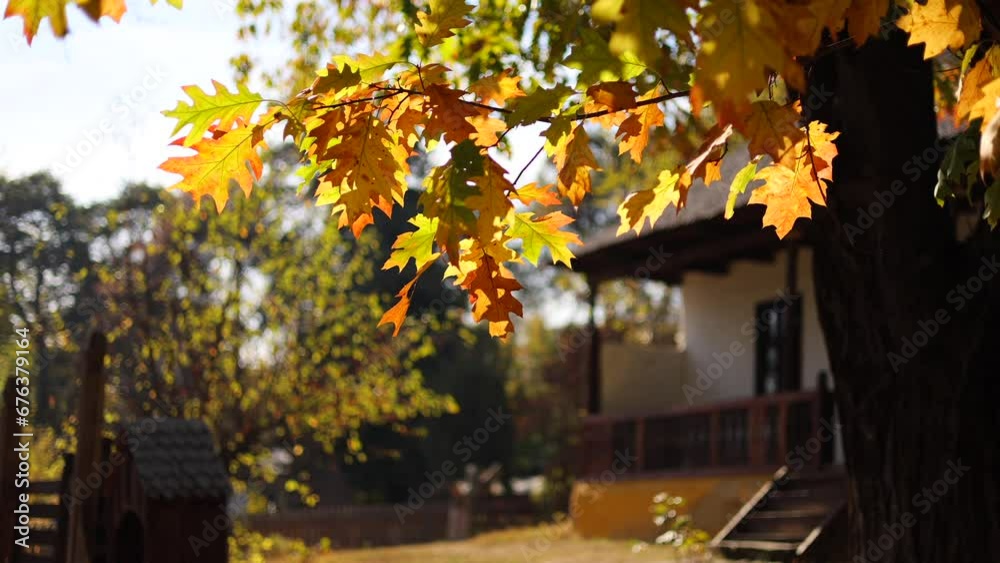 Village Museum in Bucharest. Beautiful autumn landscape with vintage looking old houses from Romania in this landmark museum from Bucharest. 4k video. Village Museum in Bucharest. Beautiful autumn landscape with vintage looking old houses from Romania in this landmark museum from Bucharest. 4k video.