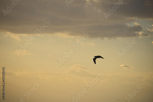 Sunrise on the beach in Indialantic Florida © L. Paul Mann