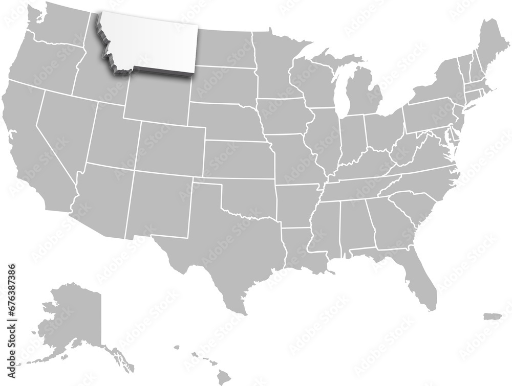 USA MONTANA map united states city 3d map