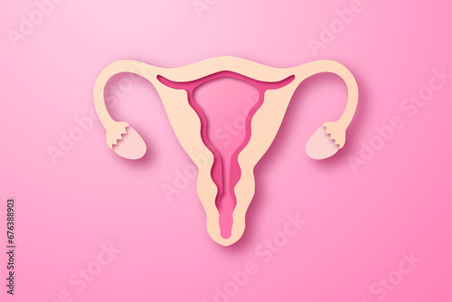 Paper craft of the woman uterus on pink background. Cross section of woman uterus for women's health care concept. photo