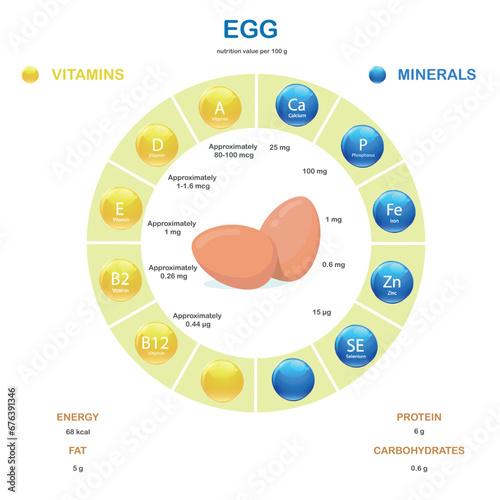 Infographics about nutrients in Egg