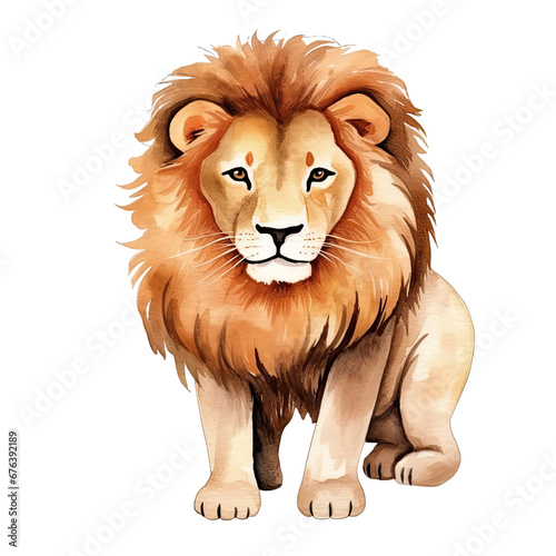 Hand Drawn Watercolor Lion Clip Art Illustration. Isolated elements on a white background.