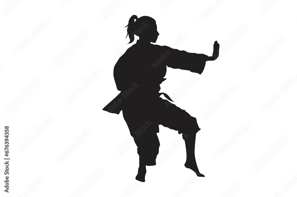 Fototapeta premium Pose Of Karate Silhouette with Transparent Background