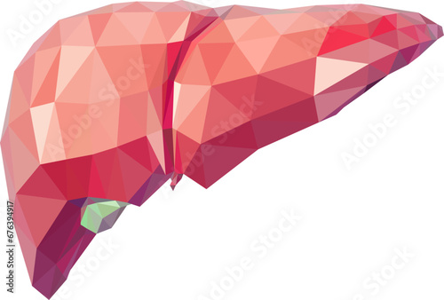  geometric organ, liver, made of triangles