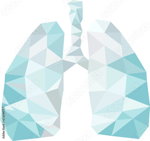  geometric organ, lungs, made of triangles