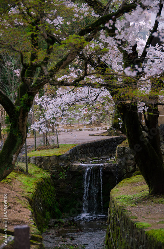 kyoto japan, landmark, beautiful, journey, kyoto, spring, palace, japan, Sakura