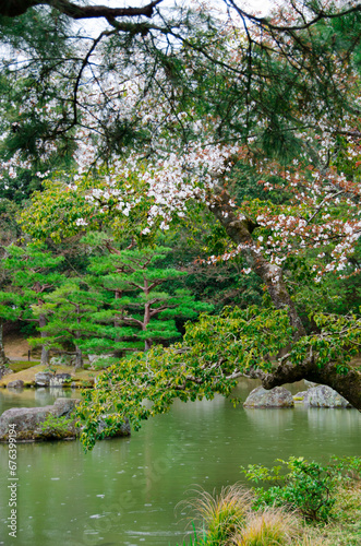 kyoto japan, landmark, beautiful, journey, kyoto, spring, palace, japan, Sakura