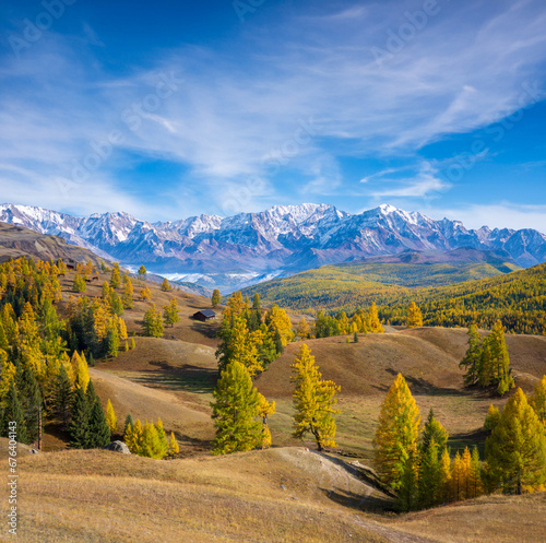 Scenic view of rolling landscape with autumn trees against blue sky at Altai Republic