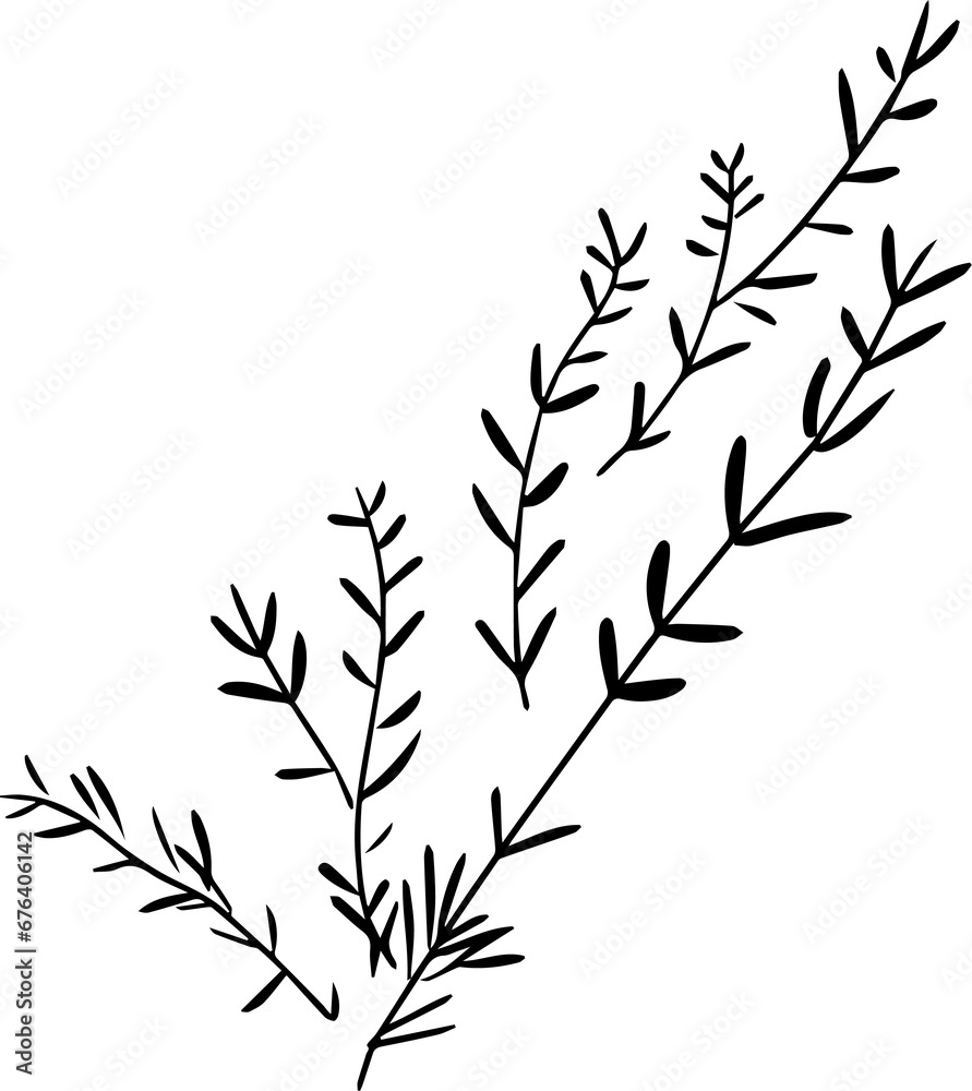 Naklejka premium Rosemary sprigs 