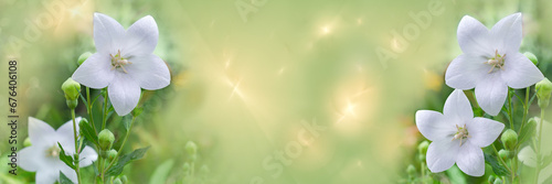 Widescreen defocused background with white bells. Fractal overlay, selective focus.