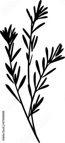  Rosemary sprigs 