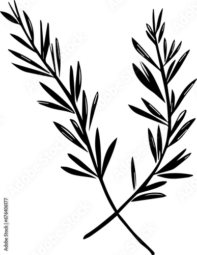  Rosemary sprigs 