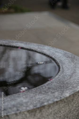 水面に浮かぶ桜の花びら