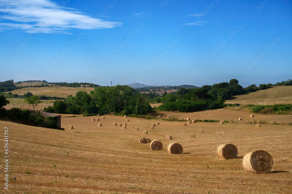 Rural landscape near Bolsena, Lazio, Italy