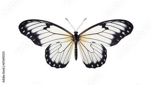 butterfly isolated on transparent PNG background, Generative ai