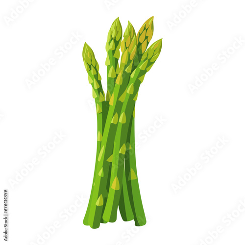 asparagus vector isolated