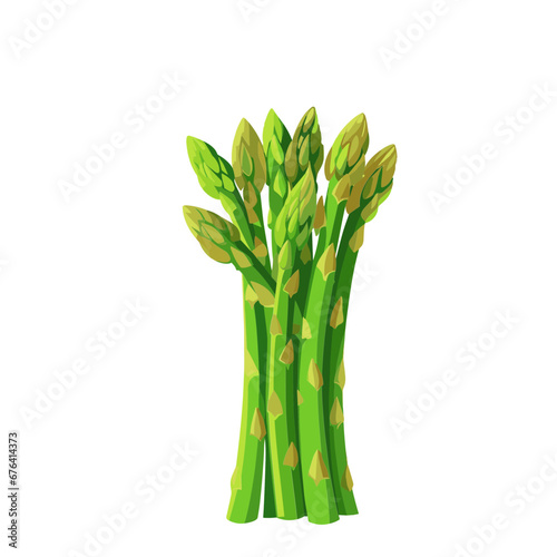 asparagus vector isolated