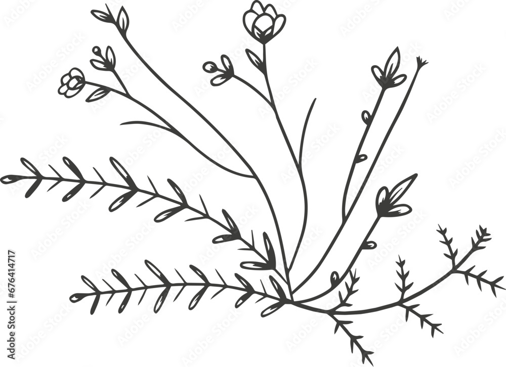 Leaf plant flower outline illustration hand drawn