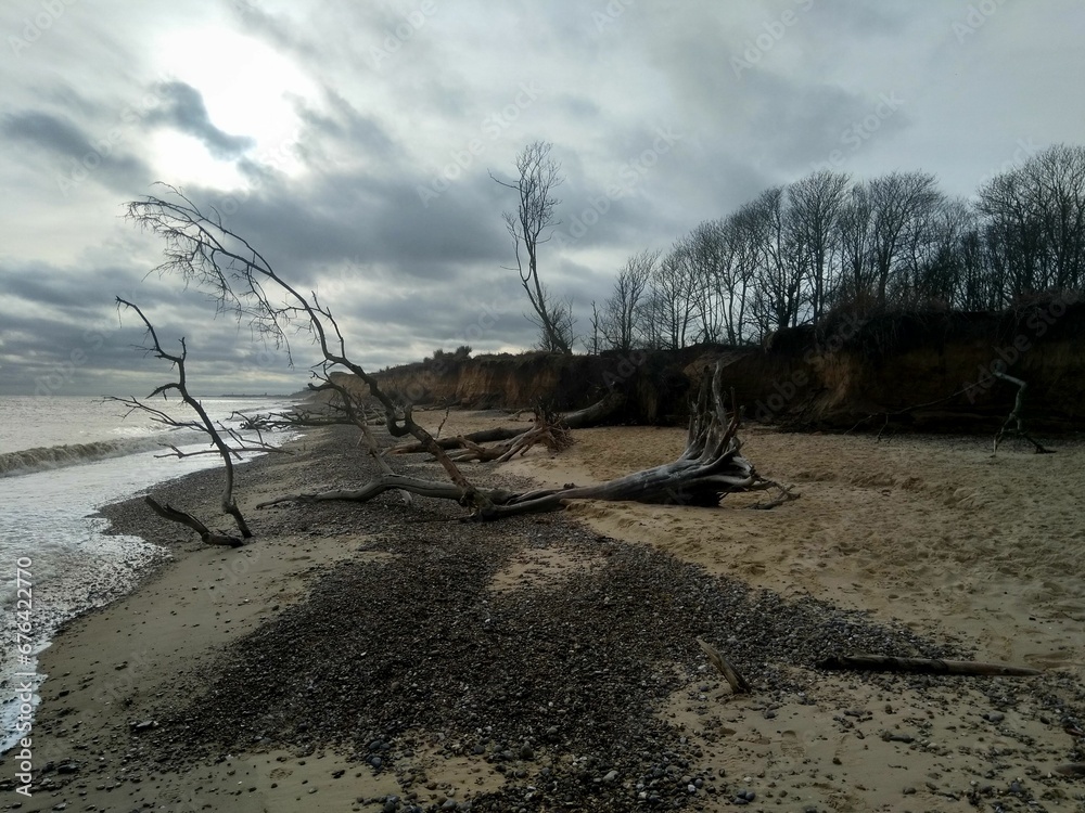 Beautiful view of driftwood on a rocky beach under a cloudy sky with the sun. Beautiful view of driftwood on a rocky beach under a cloudy sky with the sun.