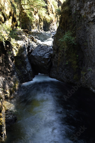 Fototapeta Naklejka Na Ścianę i Meble -  Englishman River Falls- Provincial Park(Vancouver Island) Canada