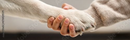 cute labrador giving paw to little girl in modern living room, cropped shot of kid and dog banner © LIGHTFIELD STUDIOS