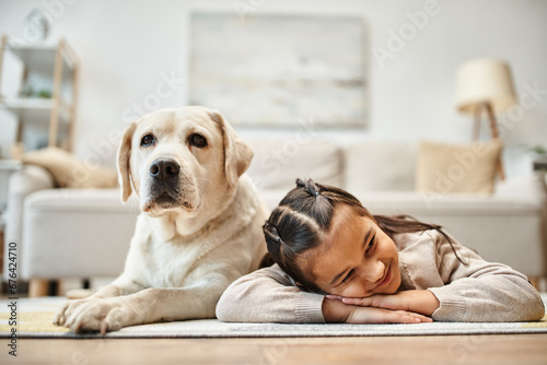 cute elementary age girl in casual wear lying on carpet with labrador in modern living room