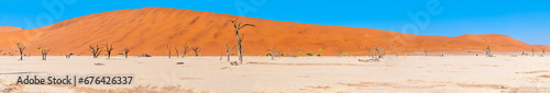 A panorama view across the basin of the dead valley in Sossusvlei, Namibia in the dry season