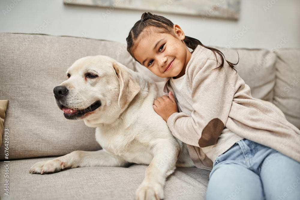 happy girl sitting on sofa and hugging cute labrador in modern living room, animal companion