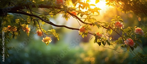 In the lush green garden the tree adorned with vibrant leaves showcased a delightful texture of floral blooms as the sun s rays cast a golden hue during the summer sunset creating a mesmeriz photo