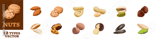 Nuts icon. Nuts icon set. Cartoon style.