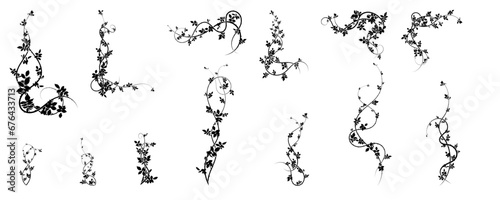 large selection of climbing hawthorn plants vector photo