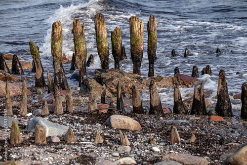 Ruins of a Wooden Construction at Gedser Odde photo