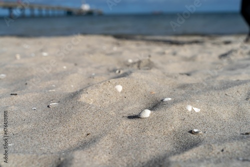 Fototapeta Naklejka Na Ścianę i Meble -  Sandy beach with shells at Binz resort against the Baltic Sea in the Island of Rugen, Germany