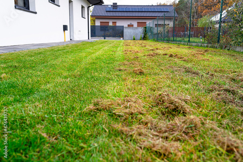 Scarifying the lawn before the winter season using an electric scarifier. photo