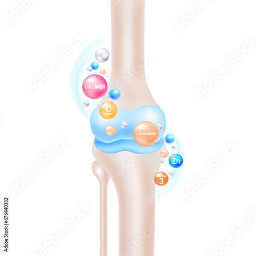 Knee Nutrition Elements Vector