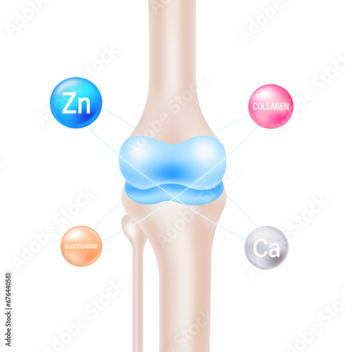 Knee Joint Nutritional Elements Diagram