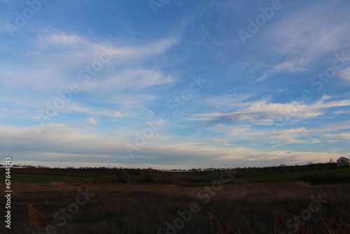 A field with a blue sky