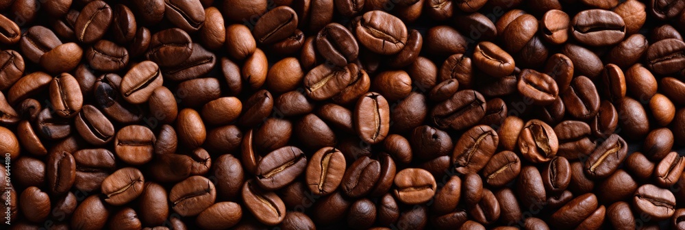Obraz premium Roasted Coffee beans background, texture and copy spase, panorama top view.