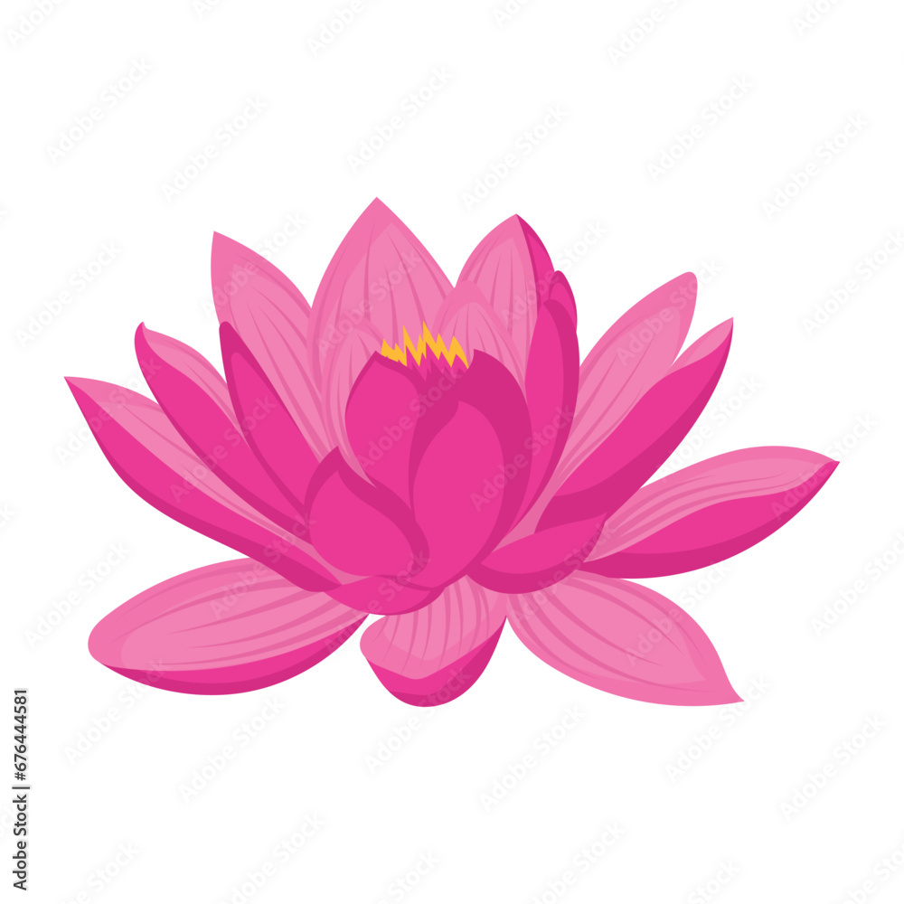 Isolated colored lotus flower Vector illustration