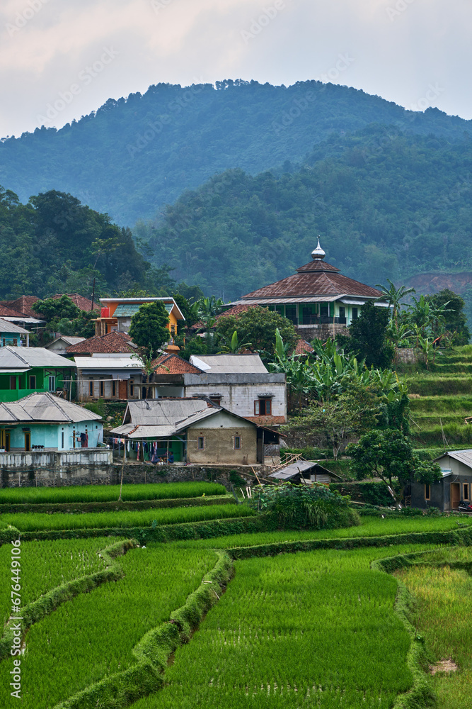 Peaceful Countryside Embraced by Refreshing Rice Fields