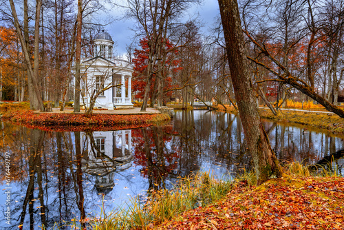 Late autumn colors in old public park