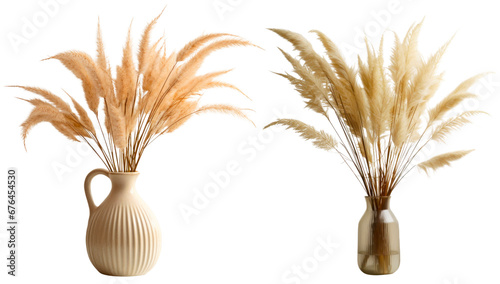 A set of pampas in vases. Isolated on a transparent background