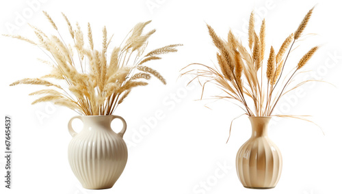 A set of pampas in vases. Isolated on a transparent background #676454537