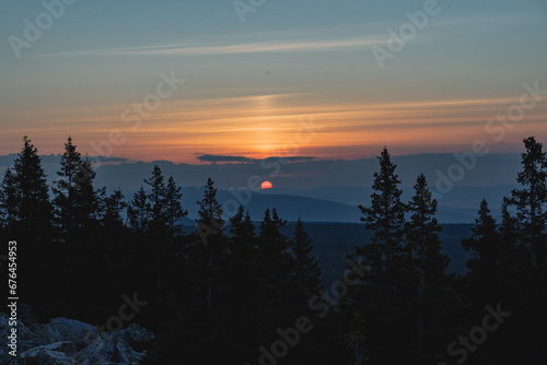The disc of the golden sun flashes through the clouds  the dark forest on the horizon  the silhouettes of trees  the peaks of fir trees  the early morning.