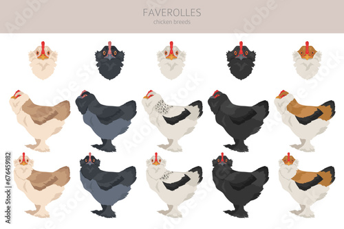 Faverolles Chicken breeds clipart. Poultry and farm animals. Different colors set photo