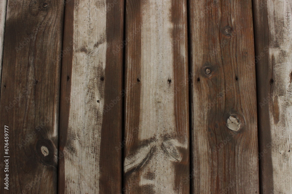 Wood after rain Wood after rain