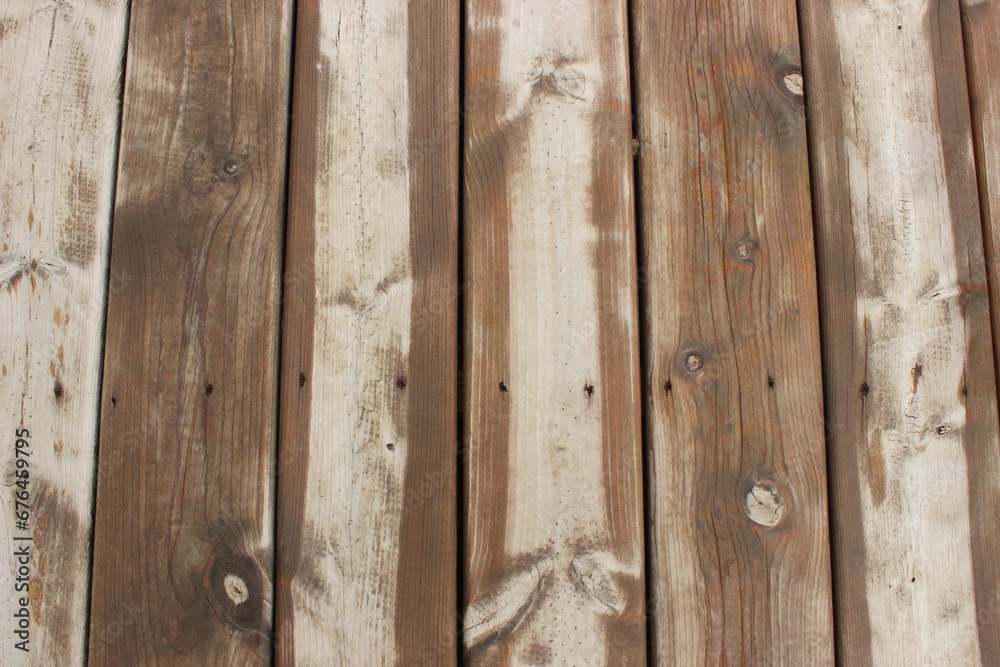 Wood after rain Wood after rain