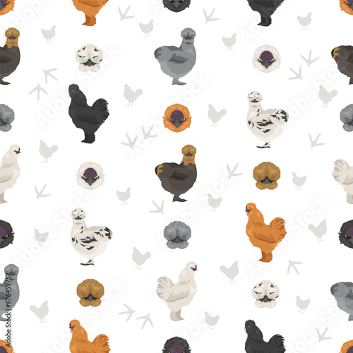 Silkie Chicken breeds seamless pattern. Poultry and farm animals. Different colors set