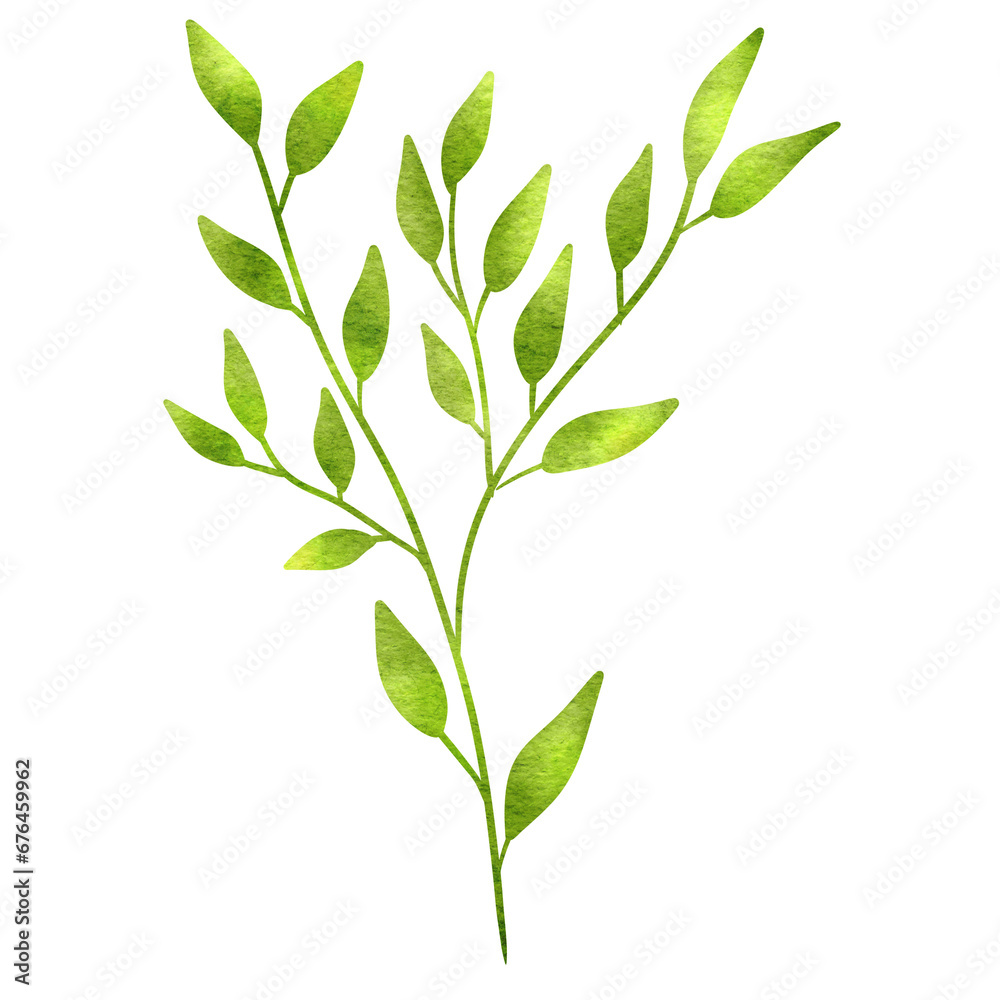 green leaves isolated on white background green leaves isolated on white background