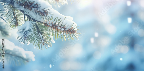 Winter Christmas scenic background with copy space. Snow landscape with spruce branches covered with snow close-up, snowdrifts and falling snow on nature outdoors, copy space, toned blue